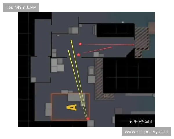 深入分析FPX在CSGO中的区域防守策略与战术布局